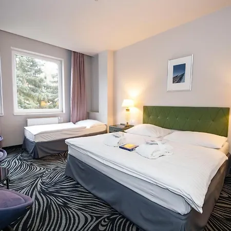 호텔 Parkhotel Carlsbad 4*