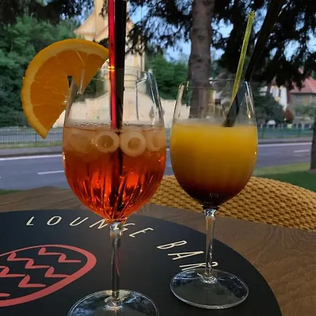 卡尔斯巴德公园酒店 Dalovice